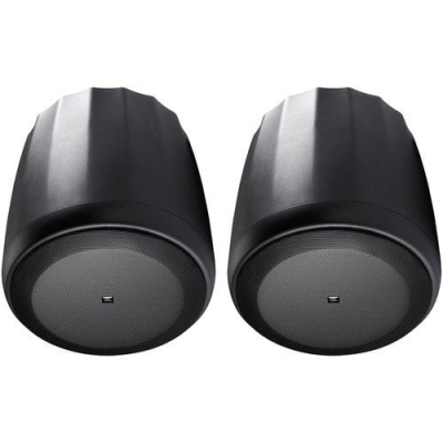 JBL CONTROL 60PS/T 8'' 300W Pasif Subwoofer (ÇİFT) — görsel 1