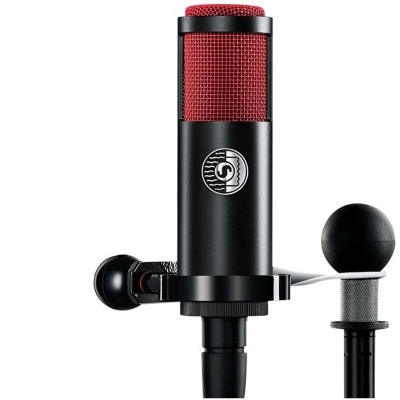 Shure KSM313/NE Ribon Mikrofon — görsel 1