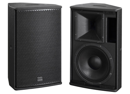 Acoustic Line - A4 Passive Speaker 10"+1" — görsel 1
